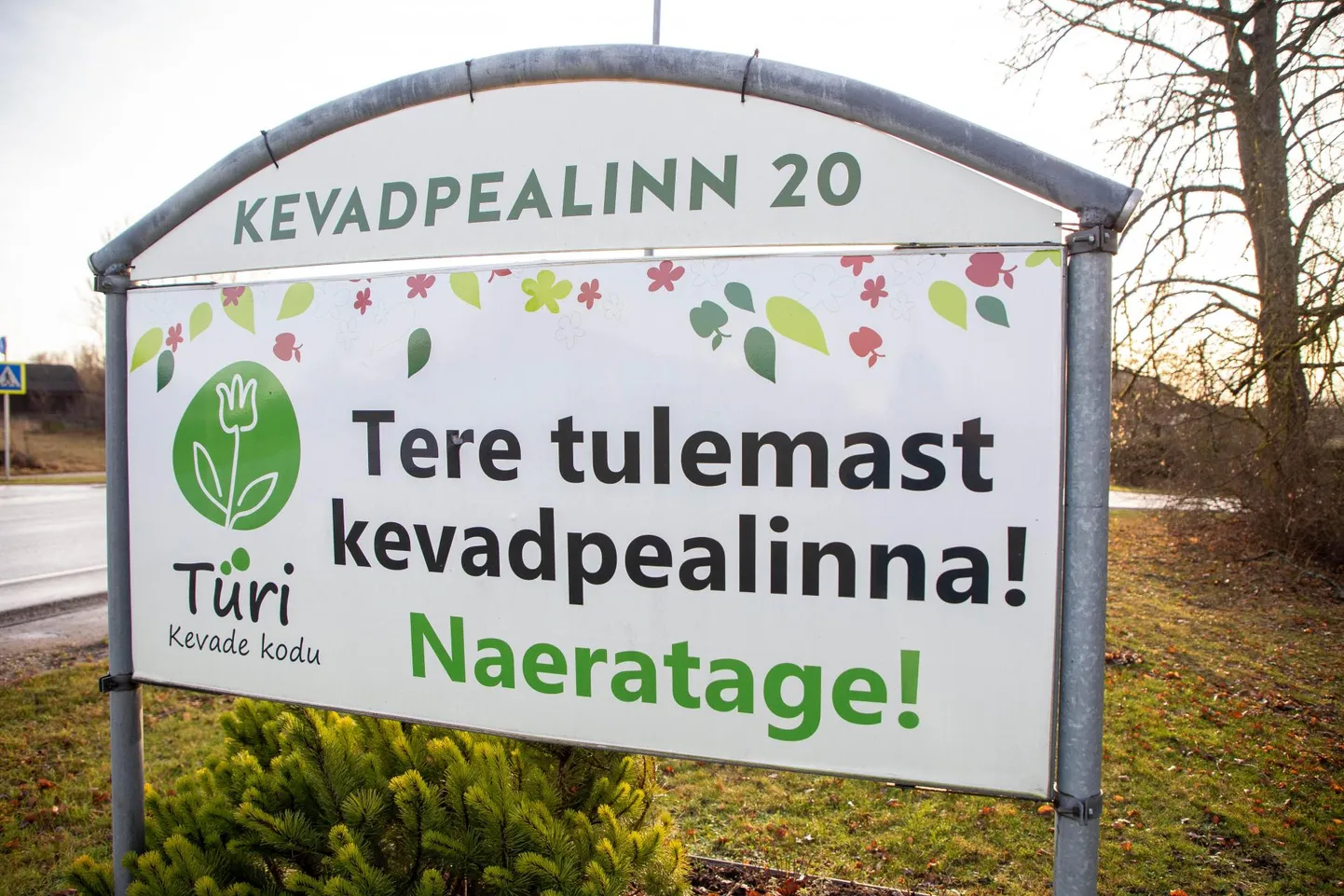 Artikli foto
