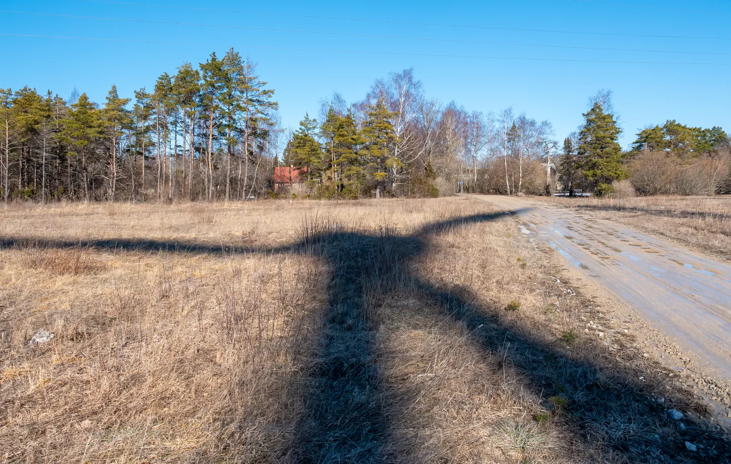 Tuugeni varjudemäng