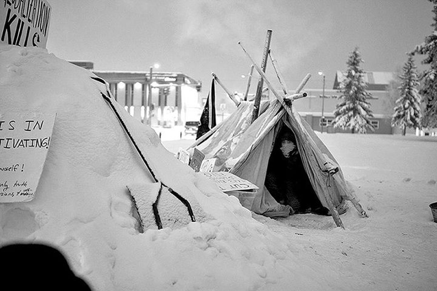 Pärnu Keskuses näeb Kanada fotoajakirjaniku Joshua See fotosid Arktikast.