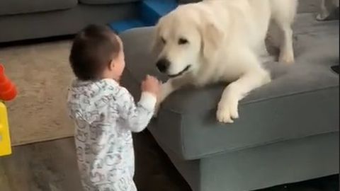 Lapse esimesi samme pealt näinud koera võrratult armas reaktsioon teeb südame soojaks