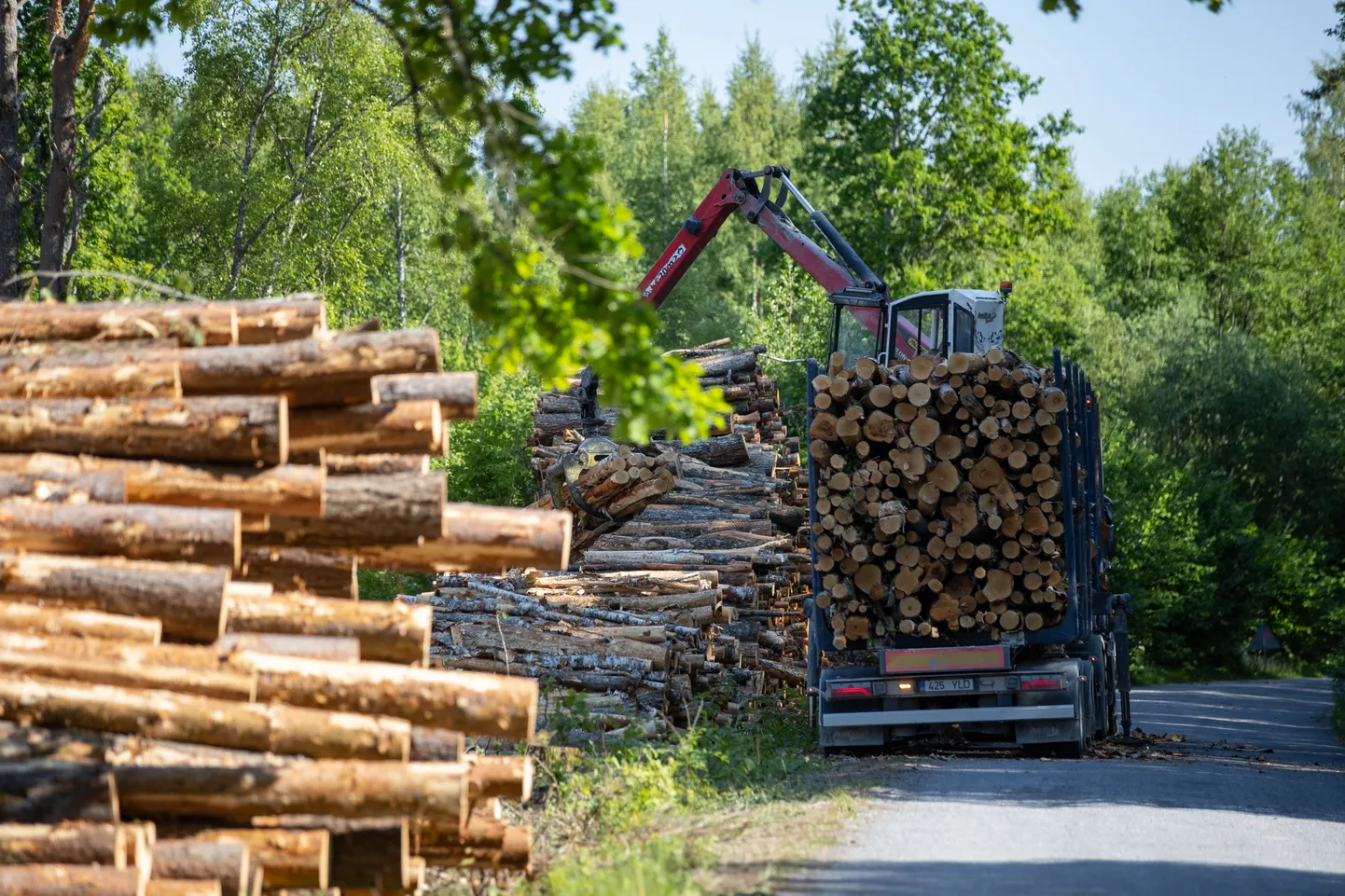 Metsandustööstus ei ole süsinikuneutraalne, kuigi seda eeldama siiski kiputakse. Pilt on illustreeriv.