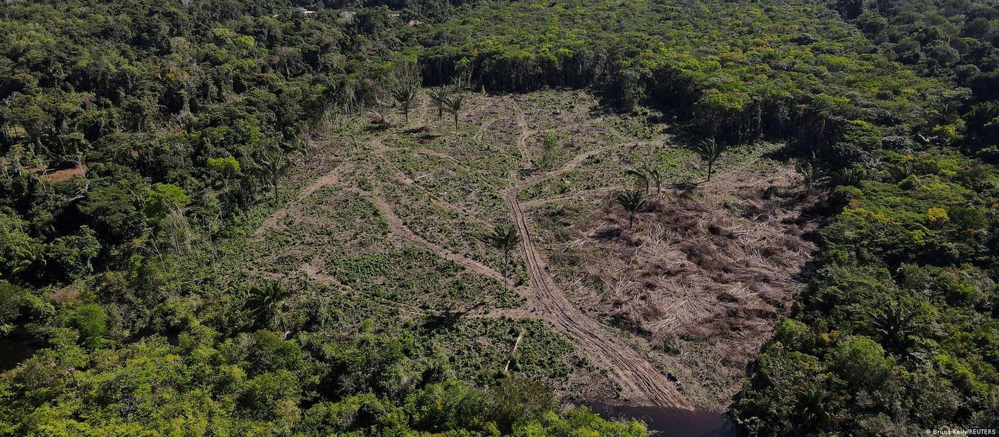 Вырубленные площади леса в Бразилии