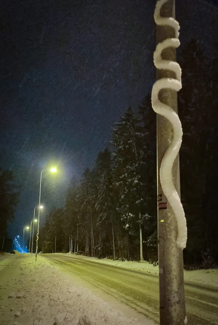 Фото статьи
