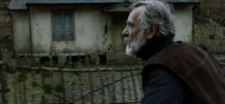 Эстоно-грузинский фильм «Мандарины» претендует на премию «Оскар» в категории «Лучший фильм на иностранном языке».