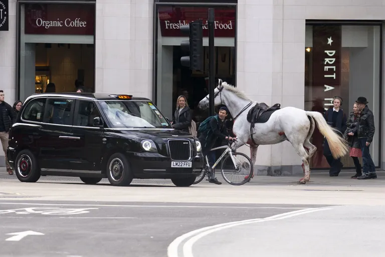 Лошади Королевской гвардии сбежали в Лондоне.