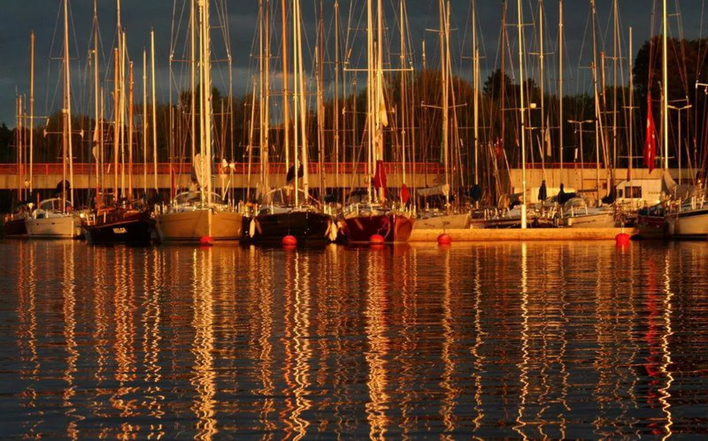 Kuldne juuniõhtu jahisadamas.