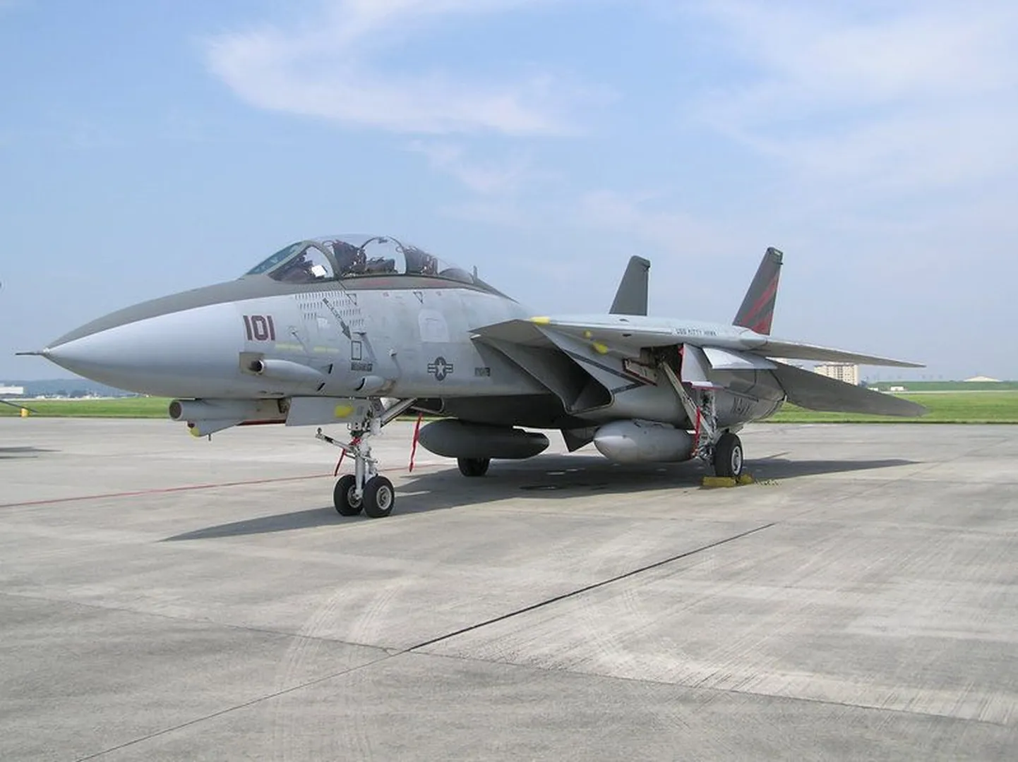 F-14 Tomcat hävituslennuk
