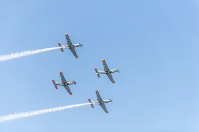 Artikli foto