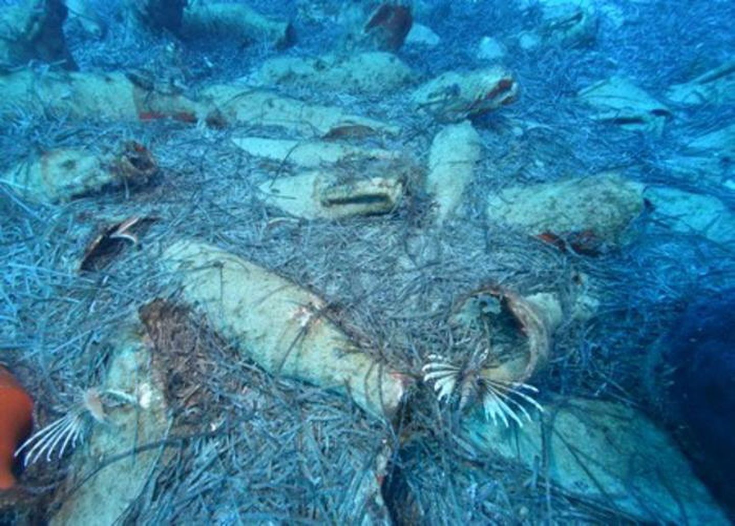 Küprose saare juurest 2019 juunis leitud Vana-Rooma laevavrakk ja amforad. Pilt on illustreeriv