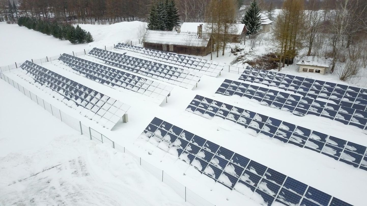 Trükikoja Greif päikesepark katab ligi 20 protsenti ettevõtte aastasest energiatarbimisest. Margus Ansu
