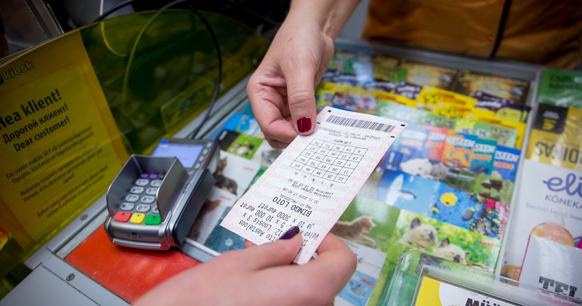 Организатор лотереи напечатал всего 10000 лотерейных. Продавец лотерейных билетов. Лотерейный билет фото. Поддельный лотерейный билет. Лотерейный билет в руке.