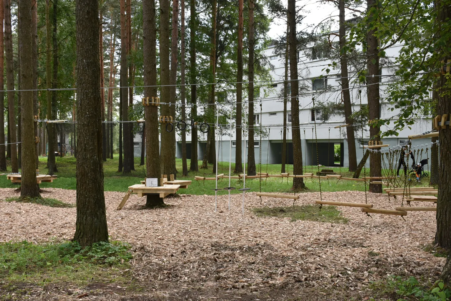 Üle-eelmisel aastal valmis Lüganuse rahvaeelarve raha eest madalseiklusrada Püssis.