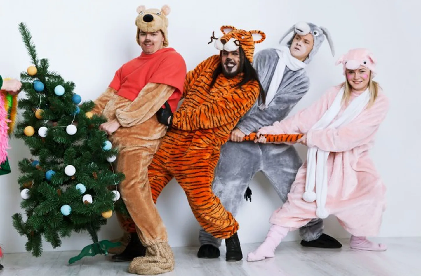 Raksta foto