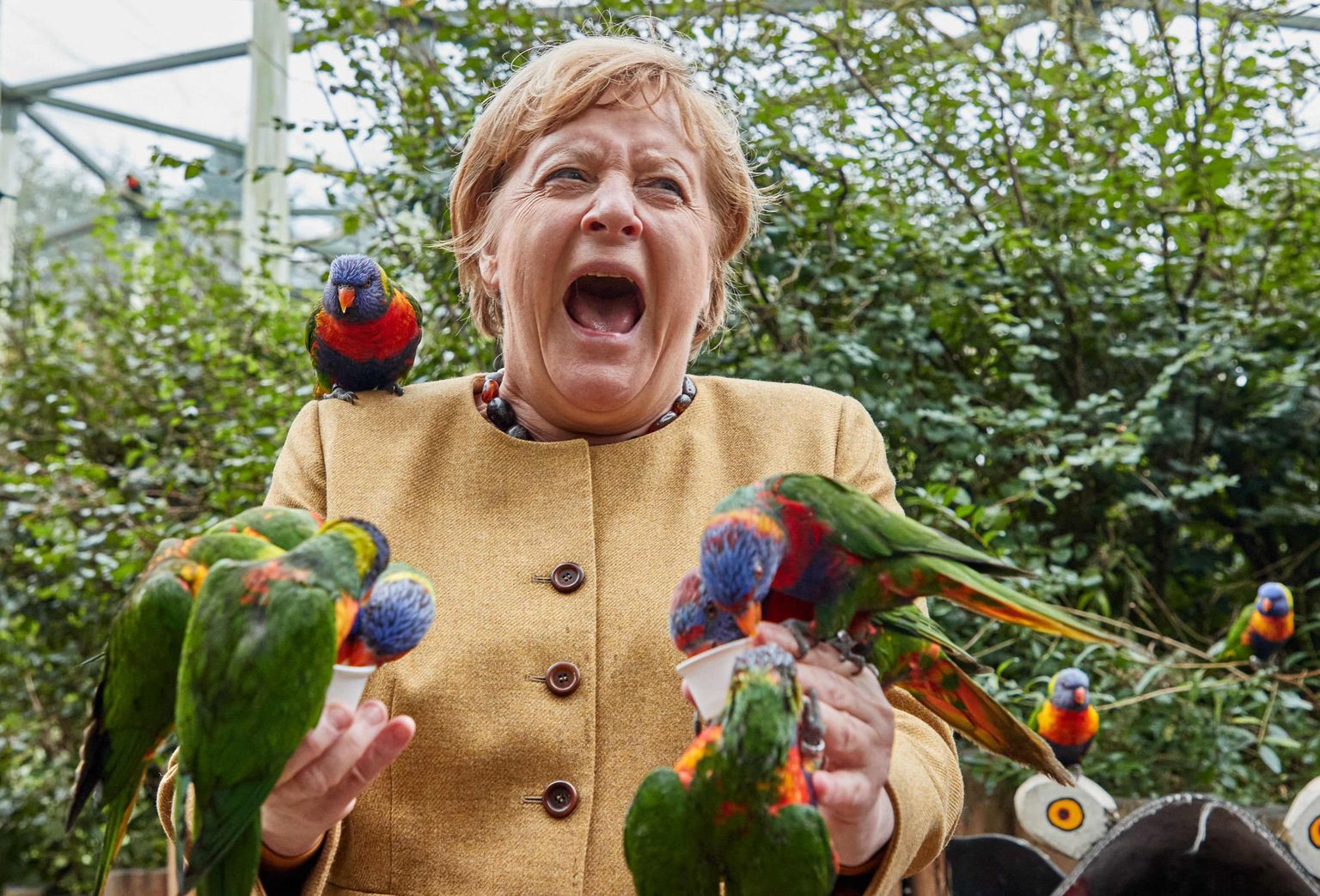 Saksa kantsler Angela Merkel külastas 23. septembril Põhja-Saksamaal Marlowis asuvat linnuparki