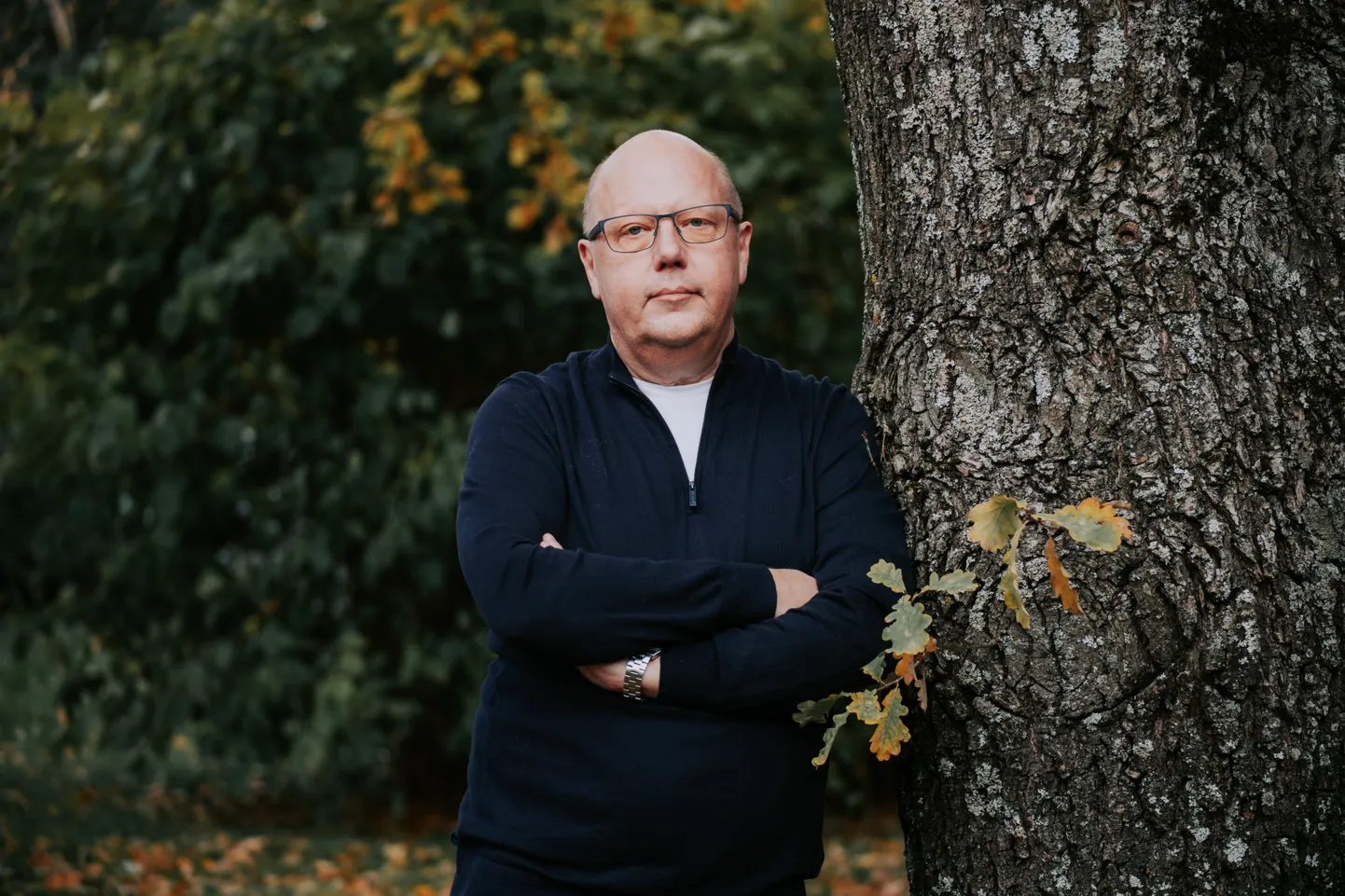 Ahti Kallikorm