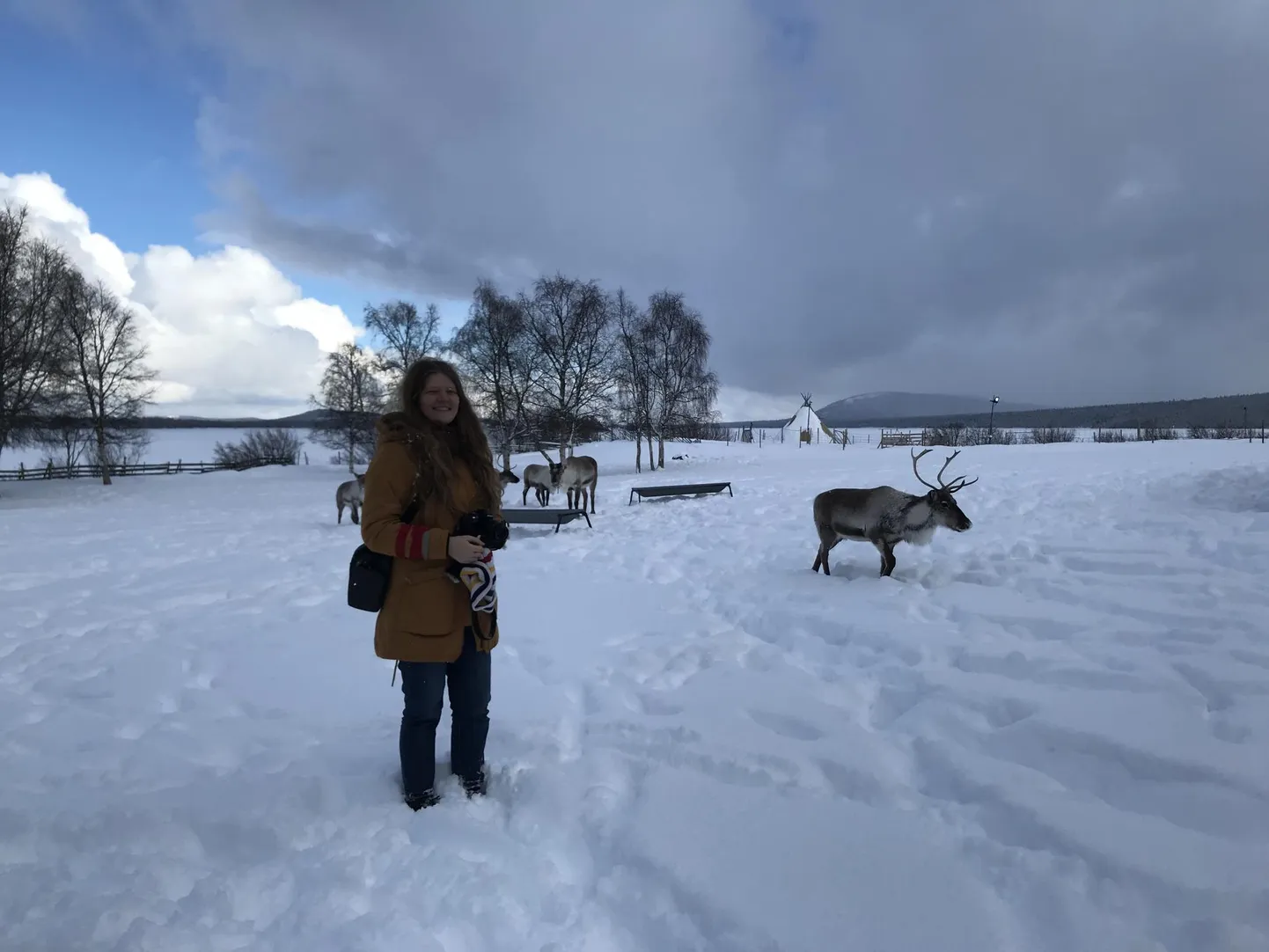 Tartu ülikooli tudeng Anel Neumann uuris paar nädalat tagasi Arktikas põhjapõtrade ja põliselanike kooselu.