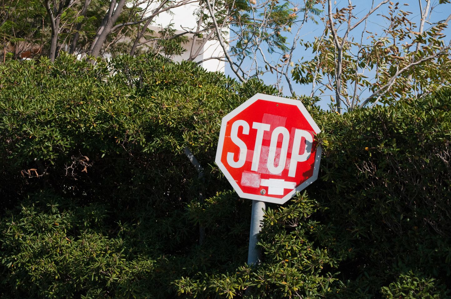 Ceļa zīme STOP