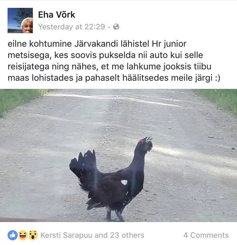 Artikli foto