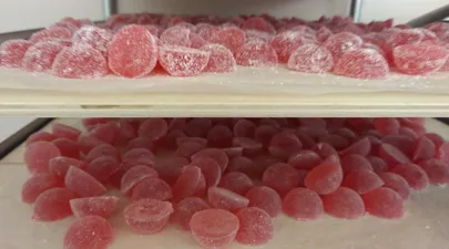 Minna Sahver pakub agar-agariga tarrendatud metsamarjadest tehtud mahemarmelaadi.