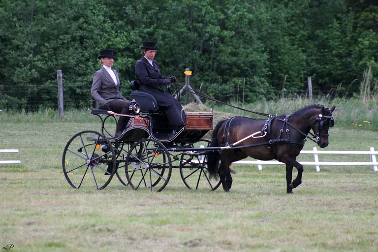 Riina Rõa ja väikeponi Grelli.