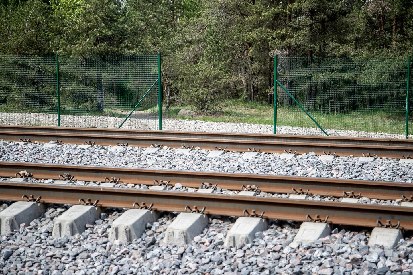 Minister Taavi Aasa sõnul eeldaks Kunda sadama ühendamine raudteega ja reisijateveo avamine Rakvere–Kunda raudteelõigul suuri investeeringuid.
Foto on illustratiivne.