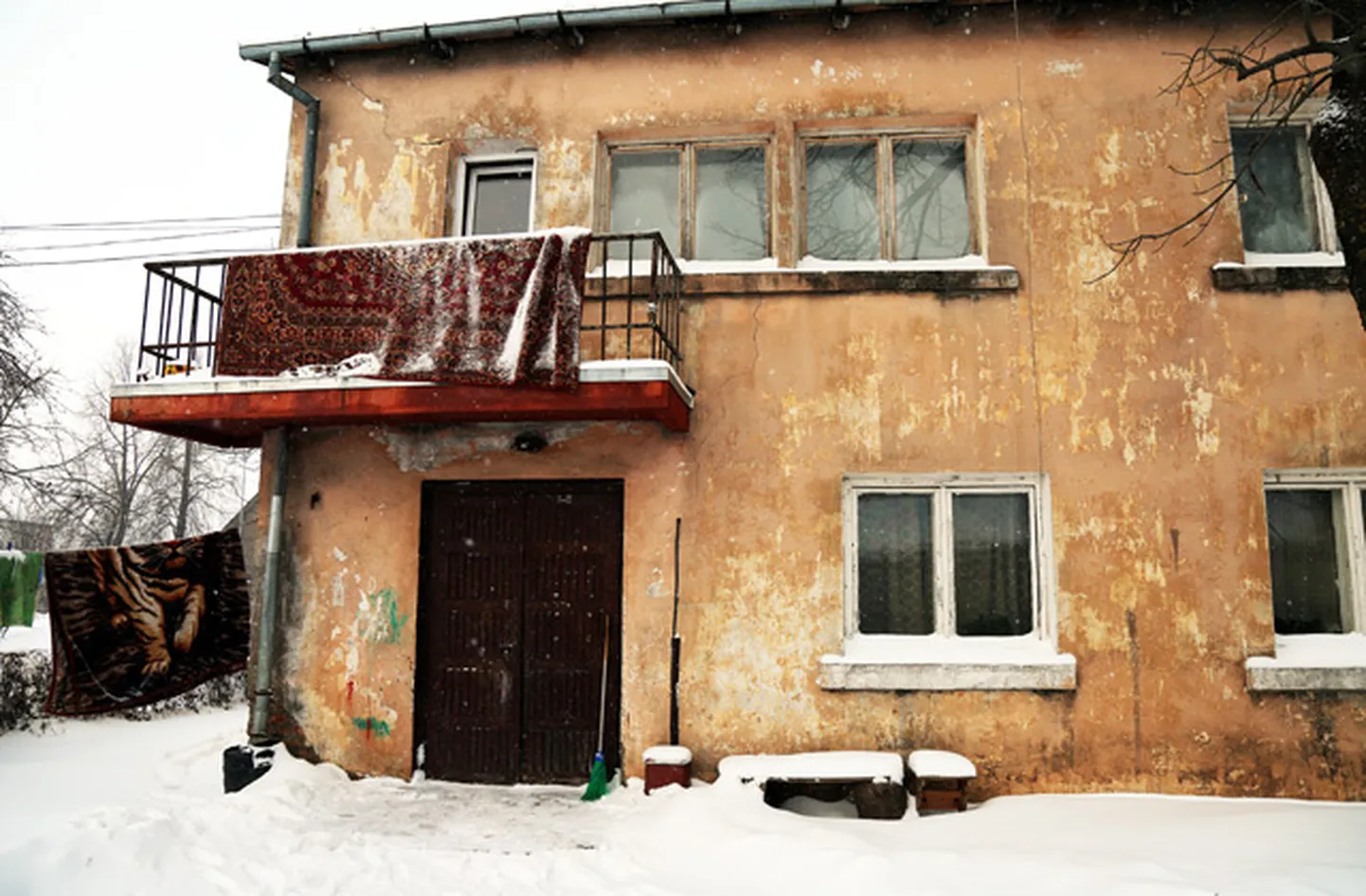 Фото статьи