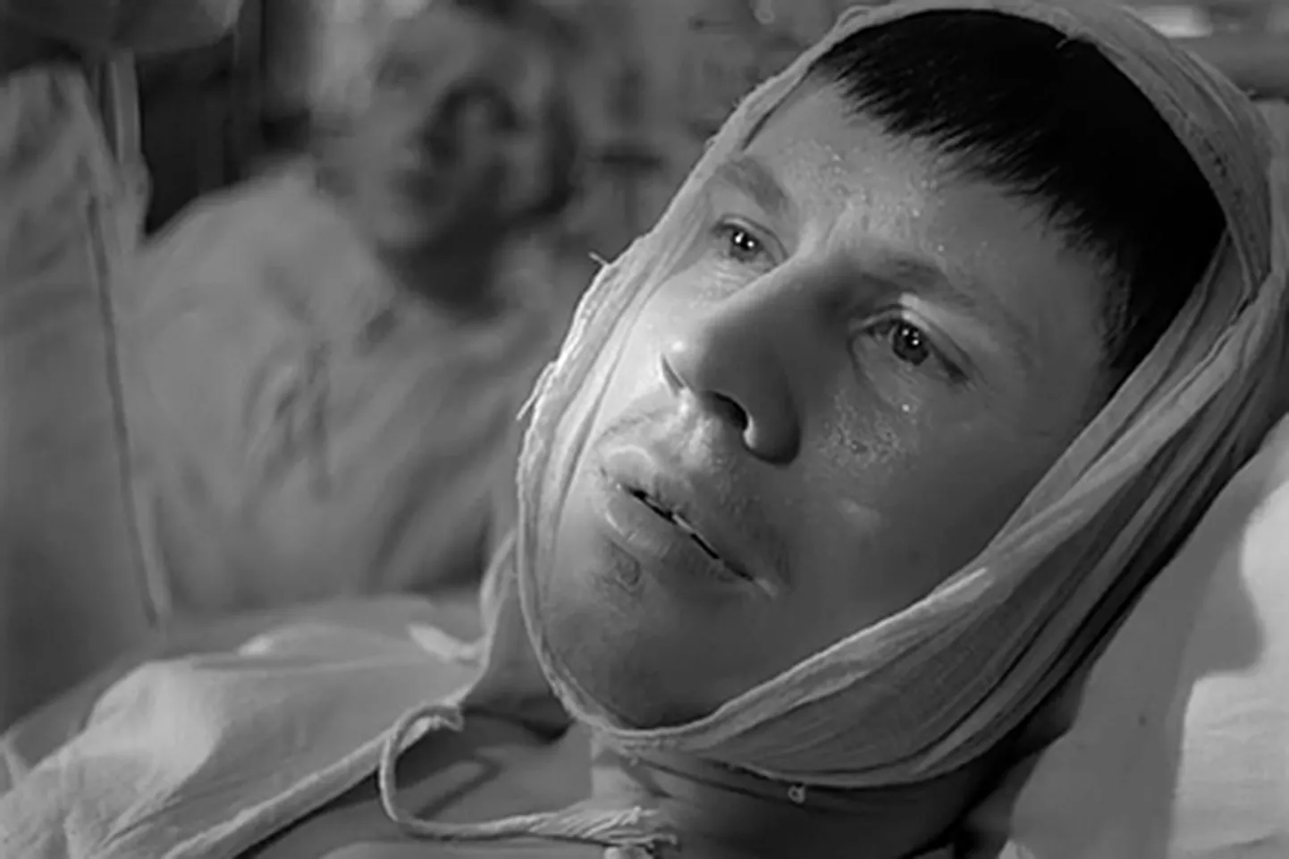 Николай Сморчков в фильме "Летят журавли"