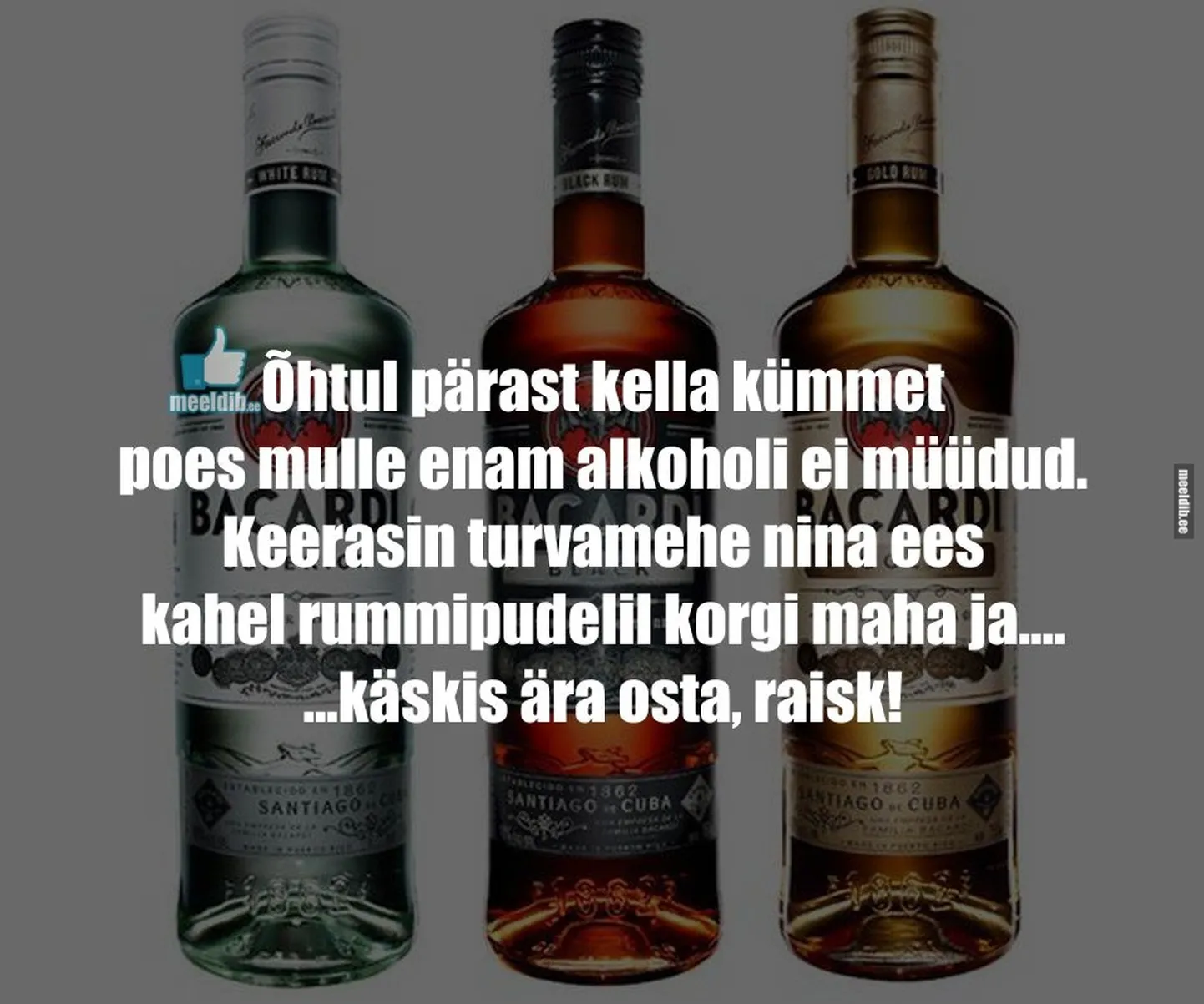 Artikli foto