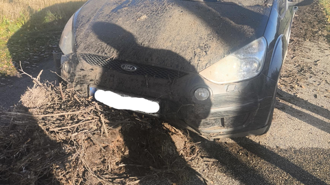 PILTUUDIS ⟩ Post koos kurepesaga kukkus sõitva auto ette
