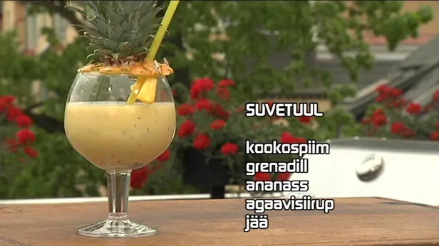 Suvetuul