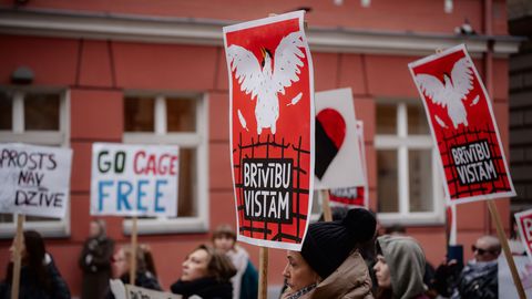 FOTO UN VIDEO ⟩ Piketā pie Saeimas aicina aizliegt vistu sprostus Latvijā