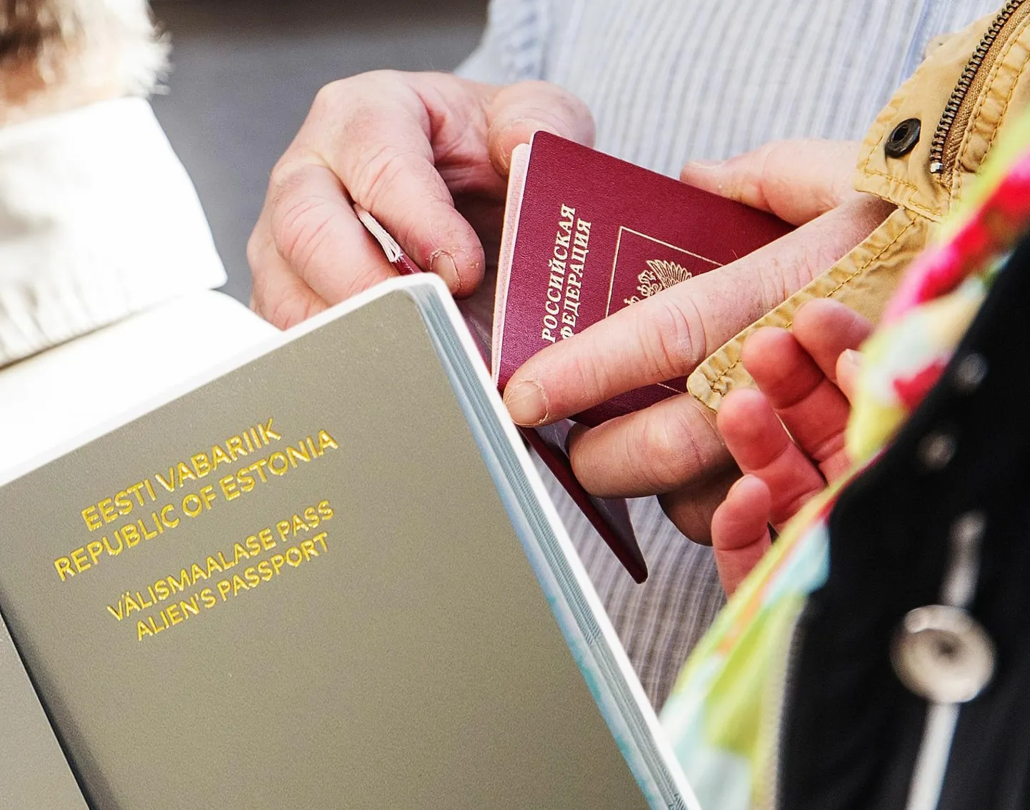 В прошлом году коалиция достигла соглашения о лишении граждан России избирательных прав, но по поводу обладателей серых паспортов мнения расходятся.