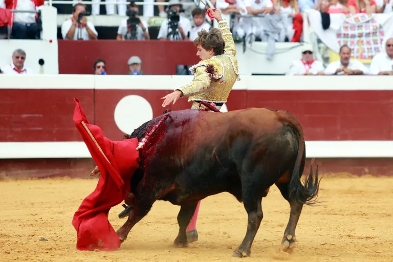 Prantsuse matadoor Juan Leal