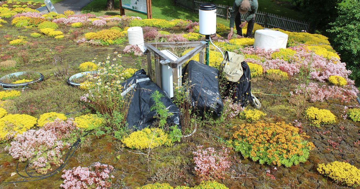 Iisaku looduskeskuse katus pakub teaduslikku huvi