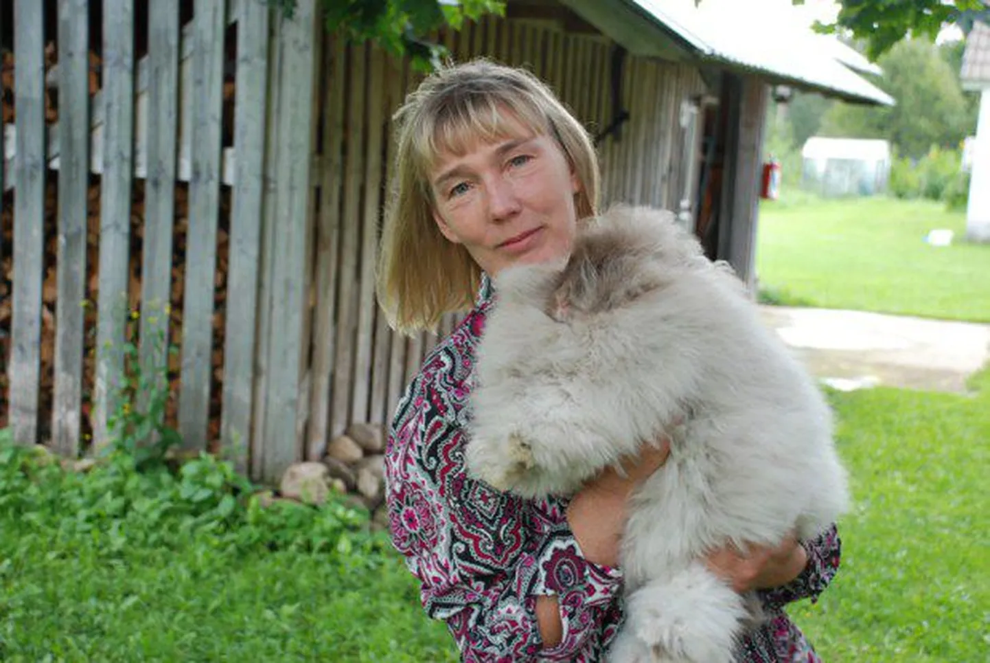 Kuni viiekiloseid küülikuid peetakse mõnikord isegi korteris koduloomana. Aga Airi Poll seda ei soovita. «Rootsis on eramute juures isegi omaette küülikute majad. Seal on puurid ja muu vajalik. Korteris on pidamine ebamugav,» ütleb perenaine.