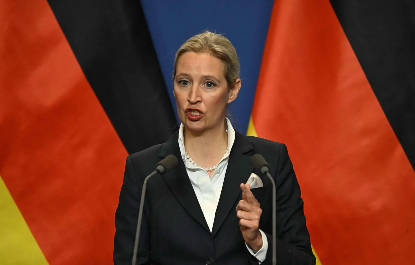AfD līdzpriekšsēdētāja Alise Veidela