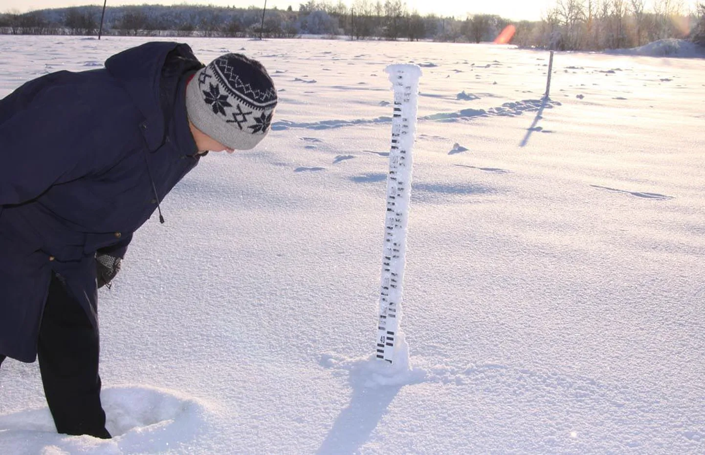 “Nii ma lati näitu vaatangi,” kummardub Maire Palm lumikatte vaatlusväljakul Koodu sademetemõõtejaamas numbreid uurima, et need lumekaardi koostamiseks edastada.