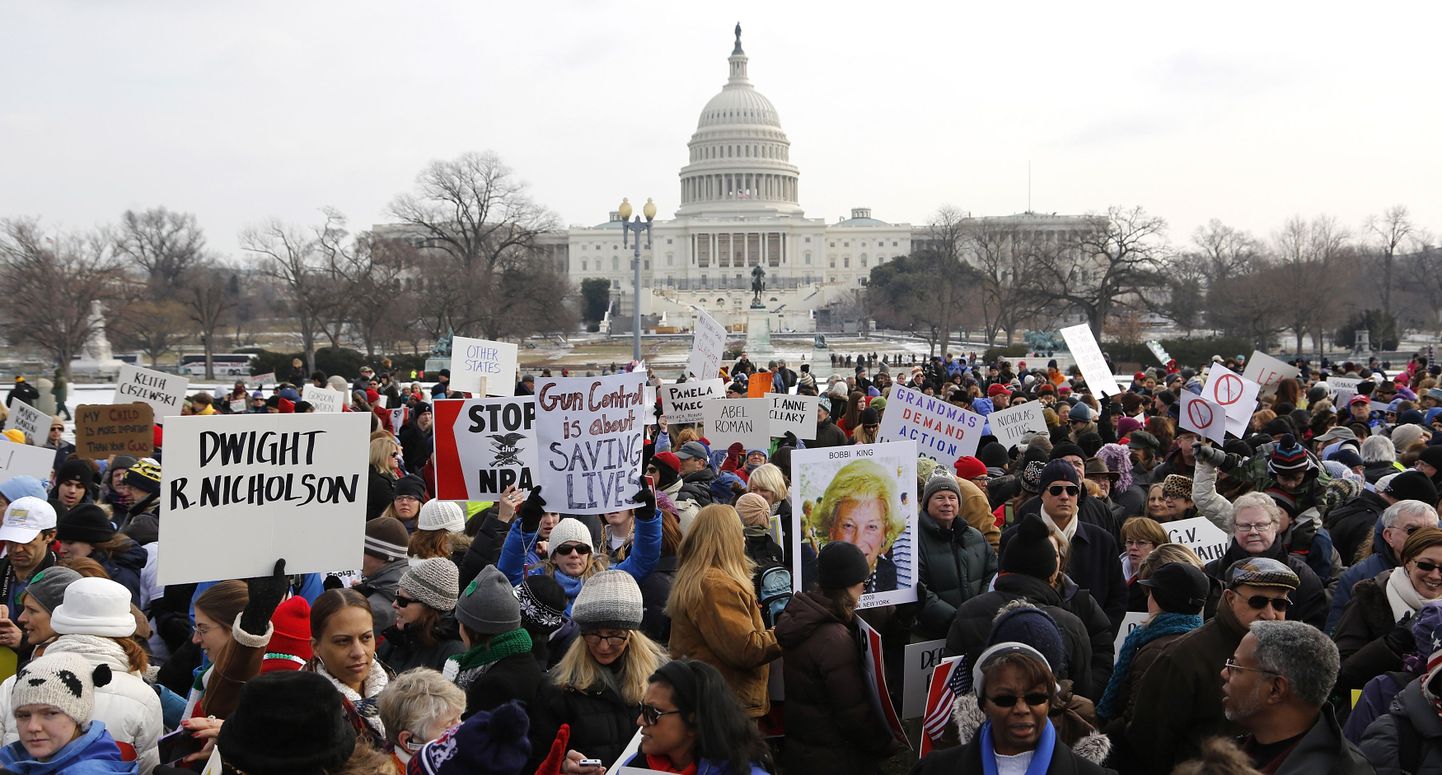 People carry signs as they gather near the U.S. Capitol to participate in the March on Washington for Gun Control on the National Mall in Washington, January 26, 2013. REUTERS/Jonathan Ernst  (UNITED STATES - Tags: POLITICS CIVIL UNREST)
