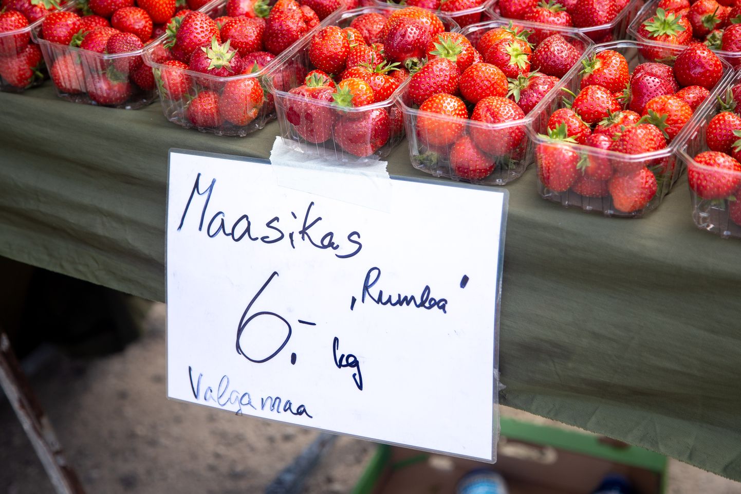 Tänasel Järva-Jaani laadal müüdi Valgamaal kasvatatud maasikaid.