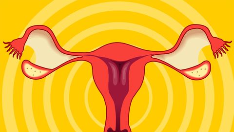 Девять неочевидных фактов о женском организме, знание которых может решить кучу проблем  