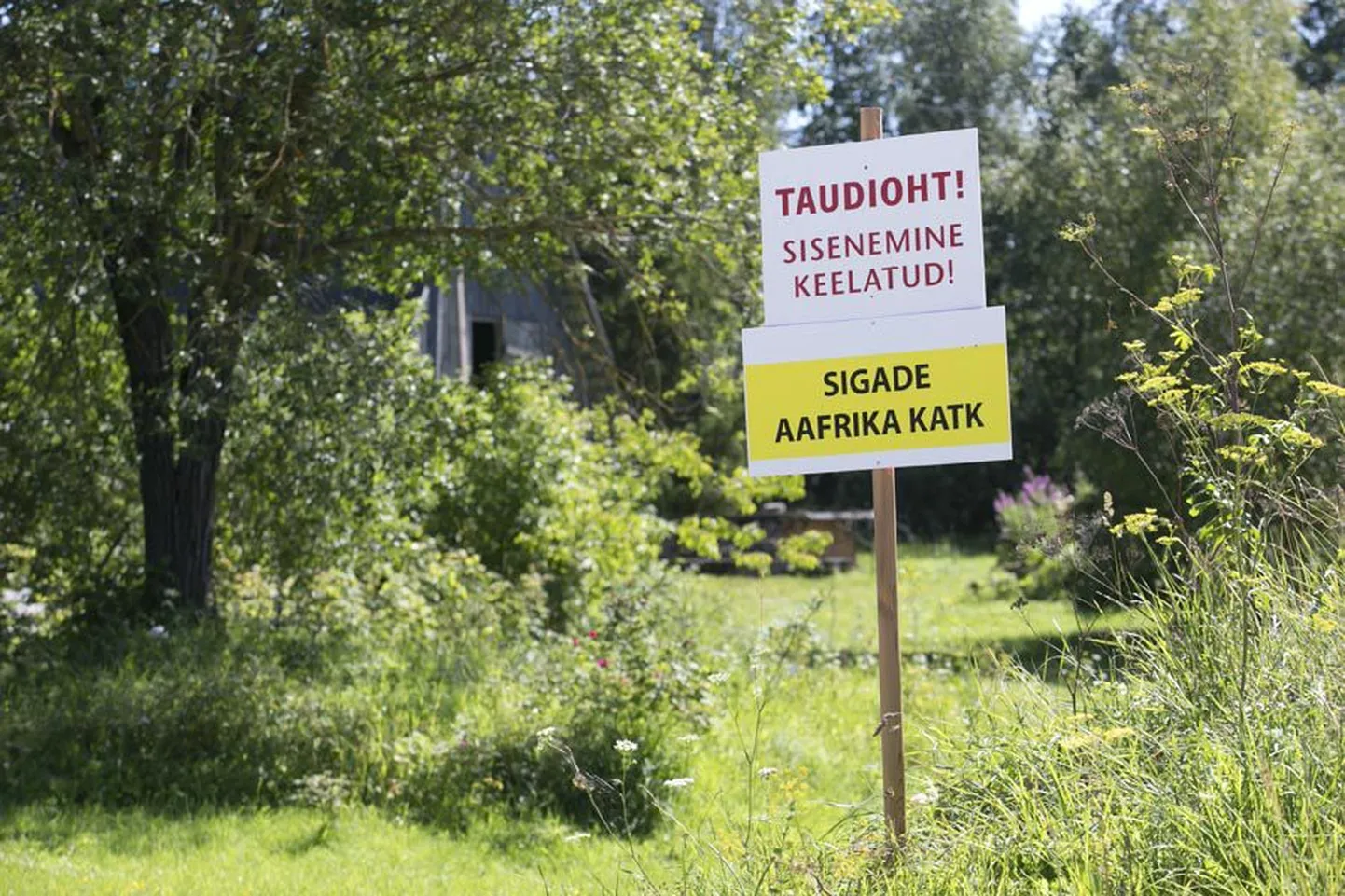 Homsest algab kõikide notsude eluasemete kontroll.