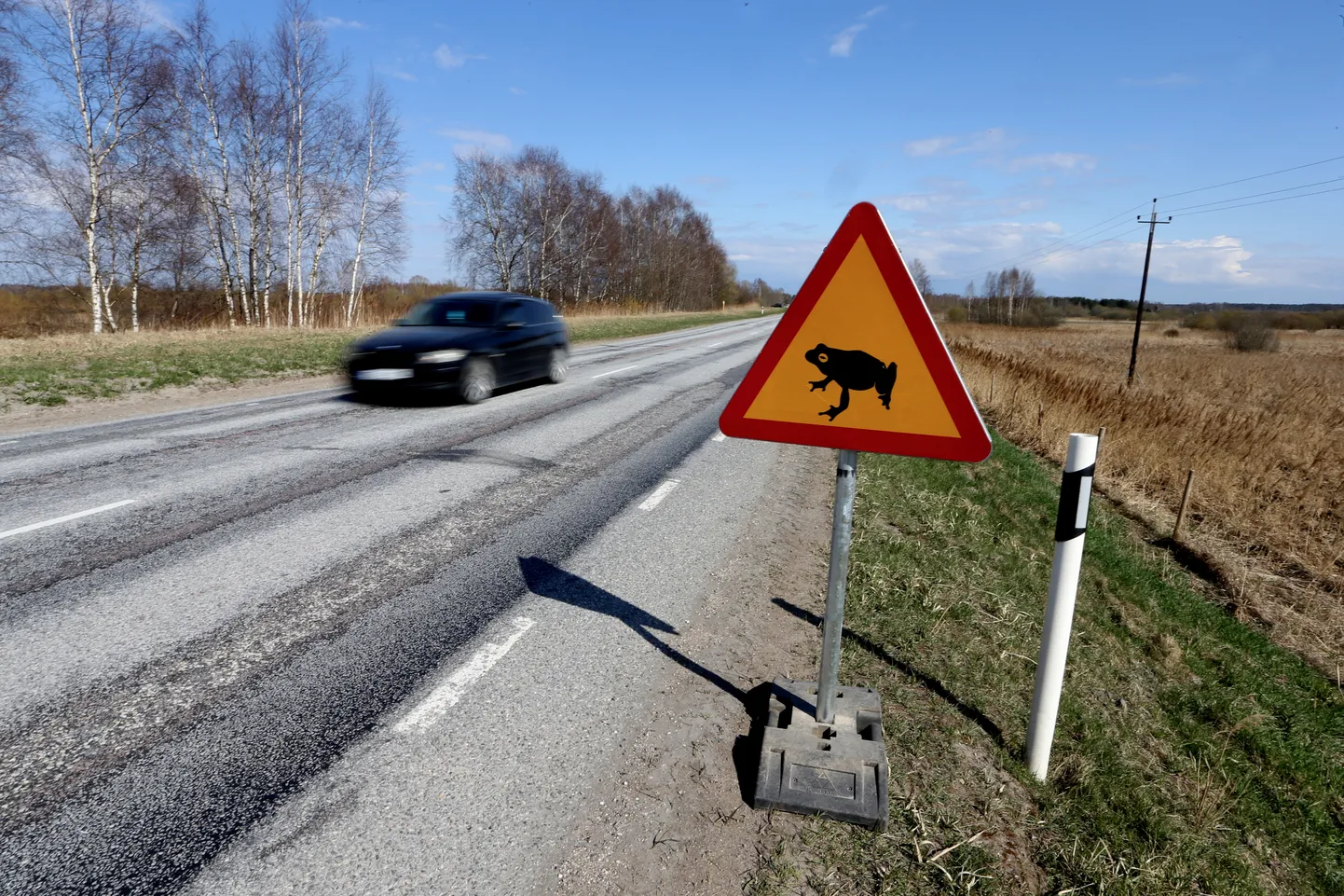 Konnad teel märk Aardla poldri veehoidla juures.