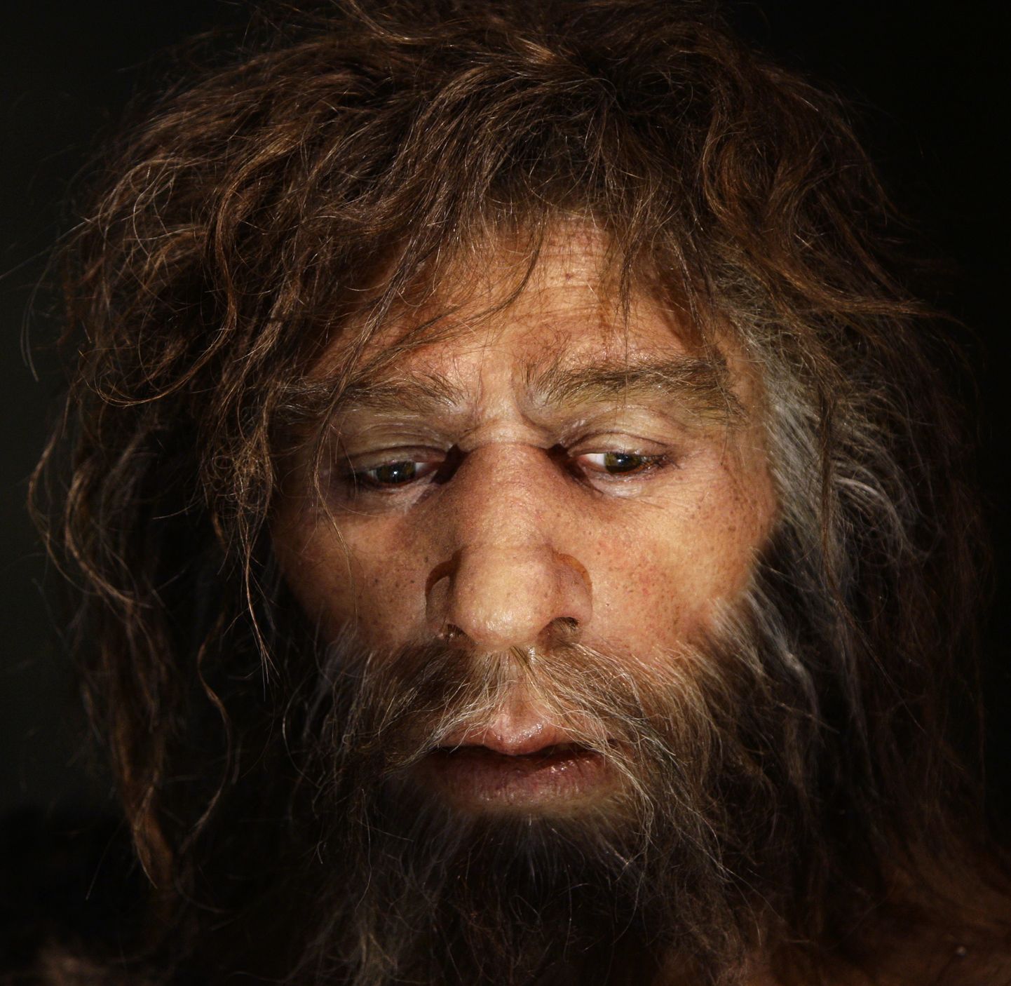 Neandertallastel olid väikesed populatsioonid, kus iga liikmega seonduv oli suure tähtsusega.