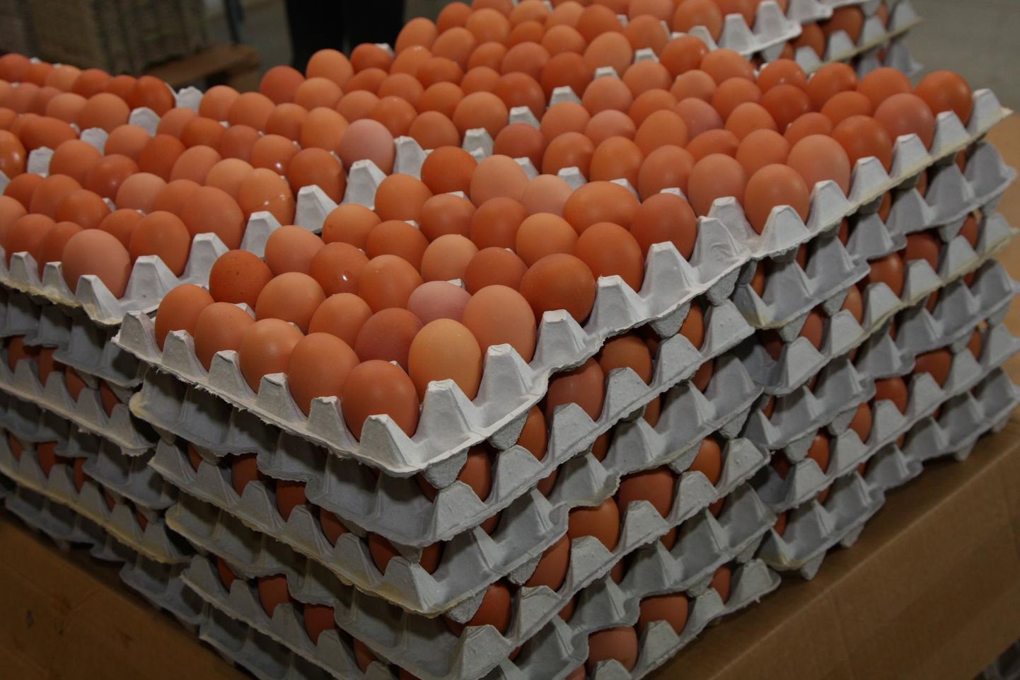 Paljud kaupmehed on juba loobunud puurikanade munade müügist. Tulevikus võivad ka kanad puurist pääseda.