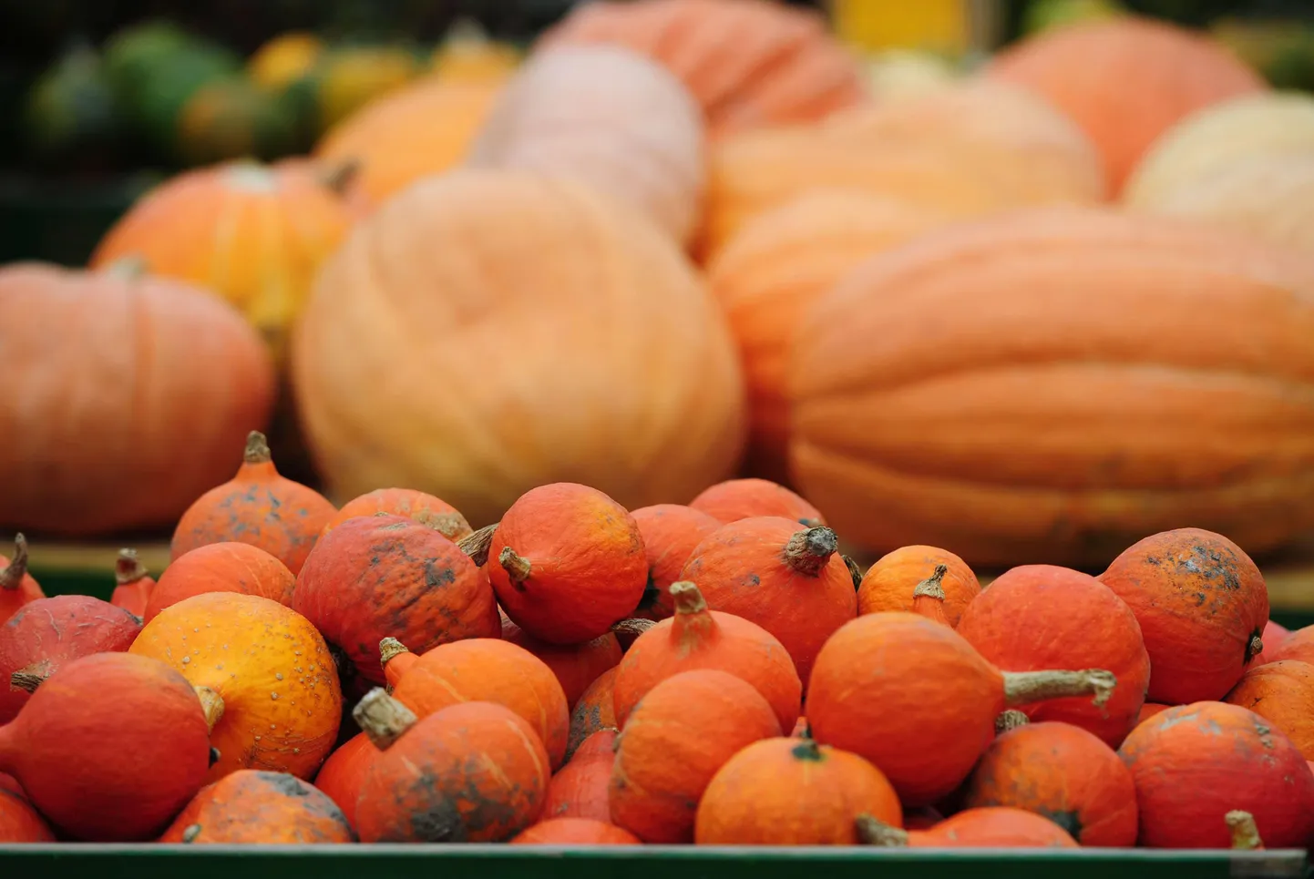 Oktoobris maksis toidukaup 8,5 protsenti rohkem kui eelmise aasta samal ajal.