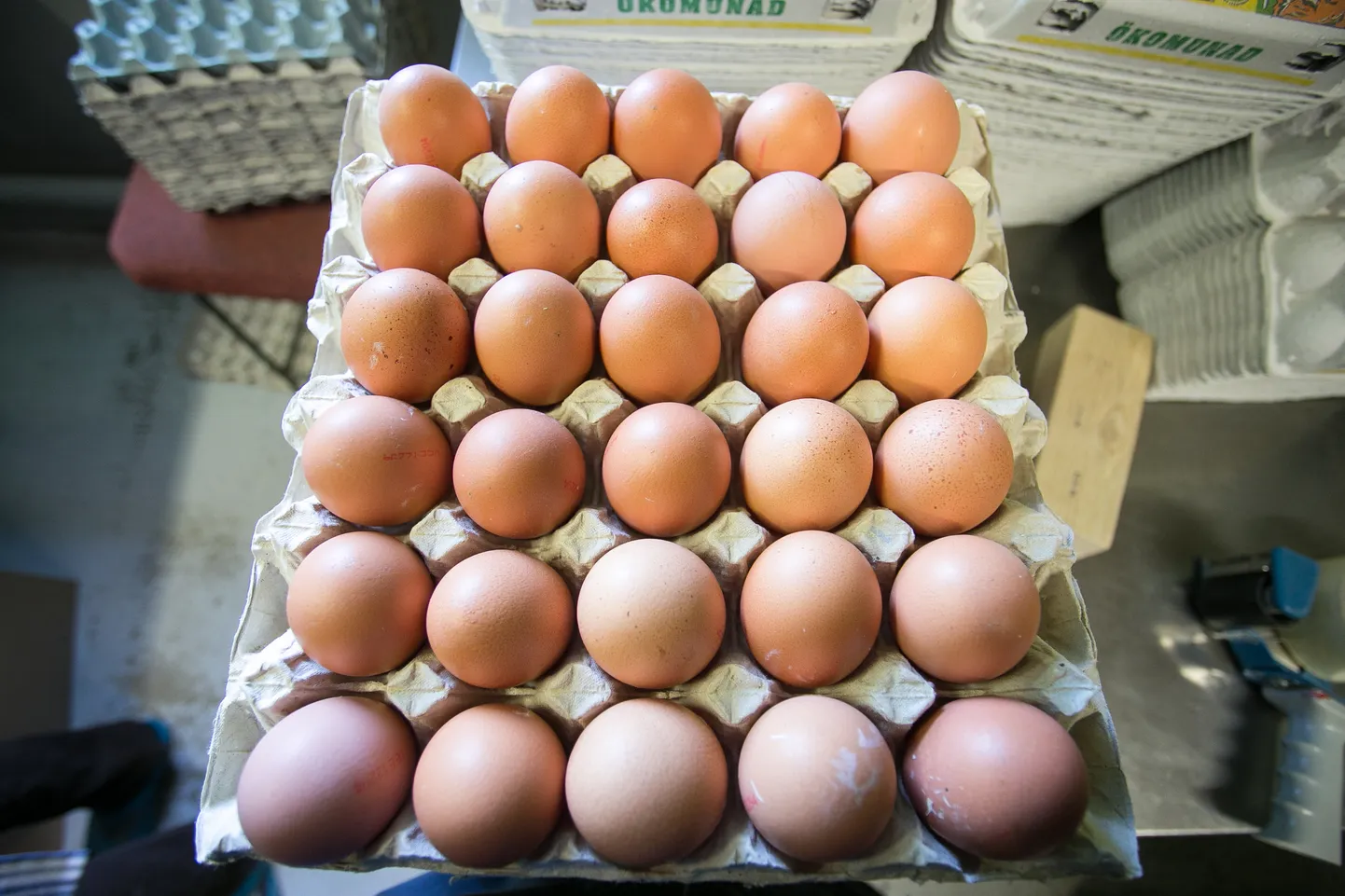 Куриные яйца.