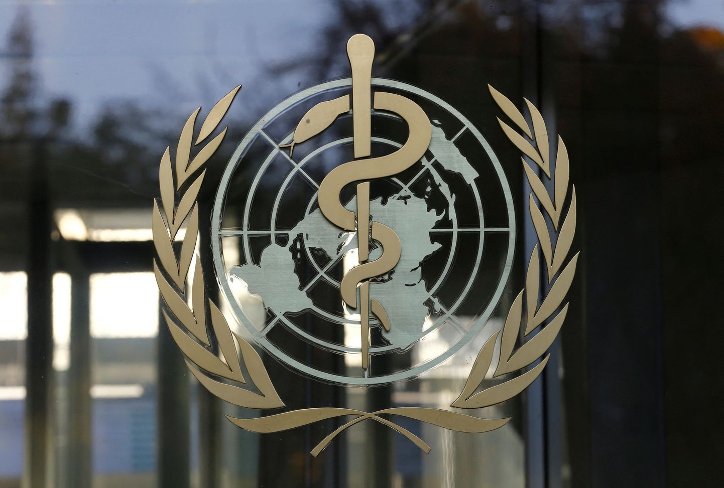 Maailma Terviseorganisatsiooni (WHO) logo.