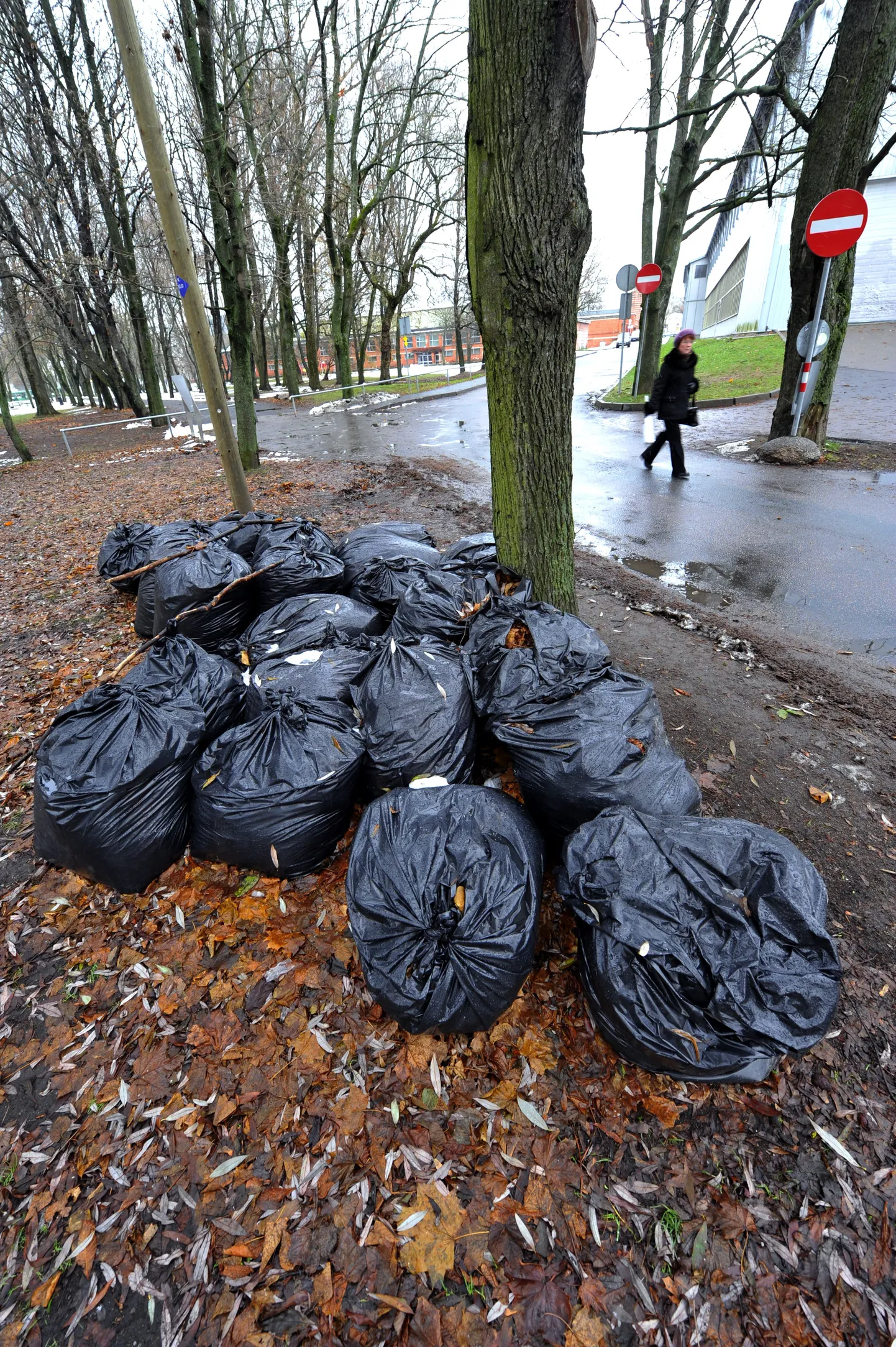 Puulehti saab Tallinnas tasuta ära anda.