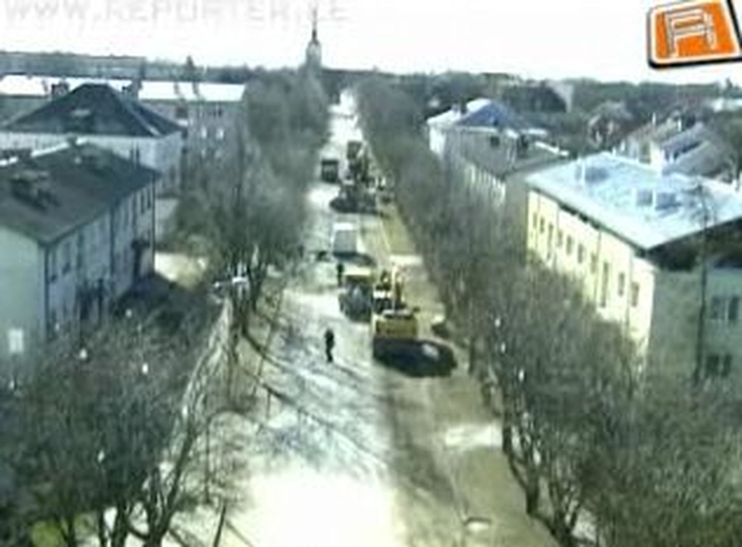 Alates eilsest on Kuressaares Torni tänaval puude otsas värvikirevad linnupeletid.