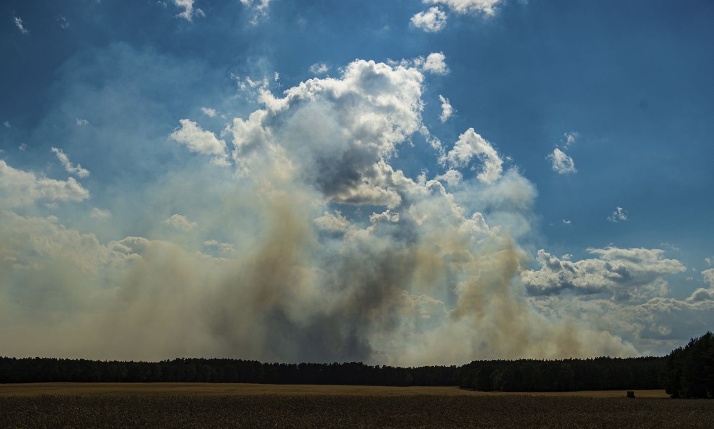 Suits tõusmas Saksamaal Looseni juures, kus tuhanded tuletõrjujad, sõdurid ja tsiviilkaitsetöötajad üritavad sõjaväeõppusteks kasutataval alal suurt metsatulekahju kustutada.